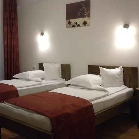Pensiunea Cetatea Craiului Guest house