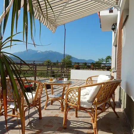 Guest house Pensiunea Cetatea Craiului