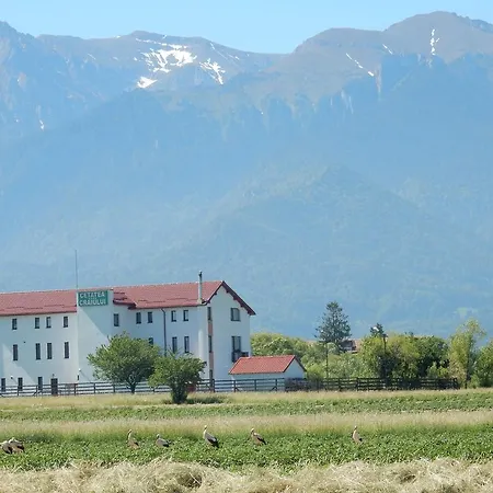 Guest house Pensiunea Cetatea Craiului Risnov
