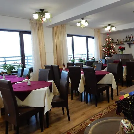 Guest house Pensiunea Cetatea Craiului 4*