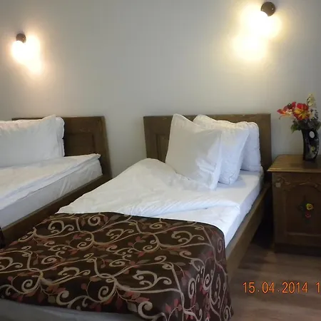Guest house Pensiunea Cetatea Craiului 4*