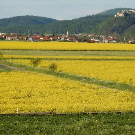 Pensiunea Cetatea Craiului 4* Risnov